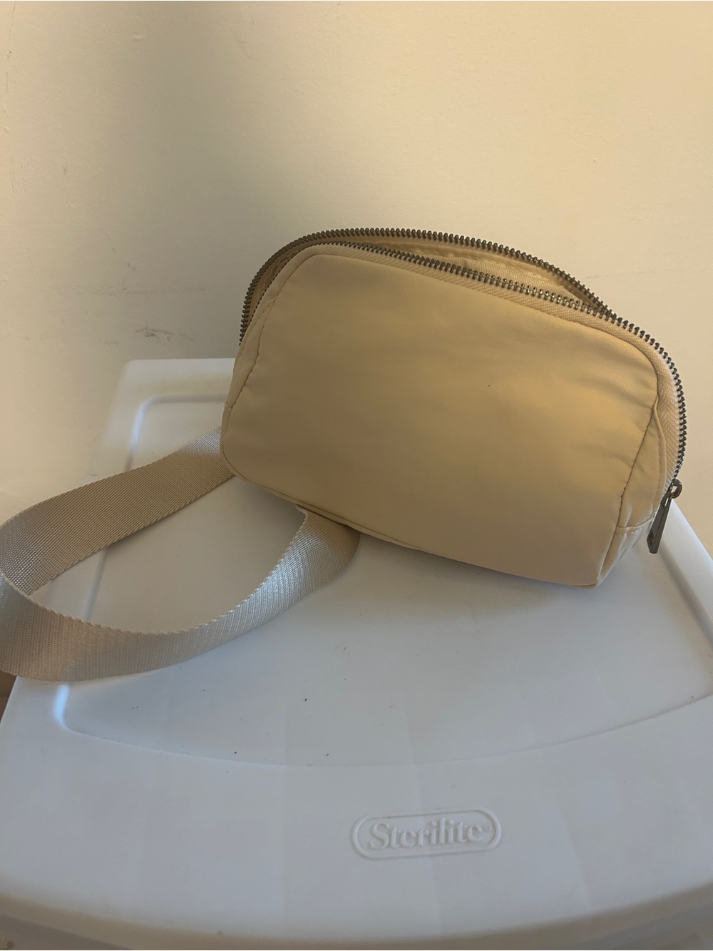 Beige Crossbody Belt Bag